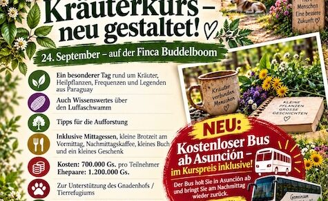 Entdecken Sie die Geheimnisse der Natur: Der neu gestaltete Kräuterkurs auf der Finca Buddelboom