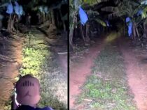 Jagd auf den Pombero: Was steckt wirklich hinter dem TikTok-Phänomen aus der Bananenplantage?