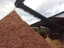 Nacht-Lärm und Staub-Terror: Anwohner gehen auf Sägewerk BG Forestal los