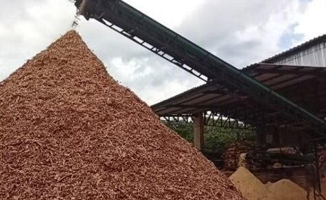 Nacht-Lärm und Staub-Terror: Anwohner gehen auf Sägewerk BG Forestal los
