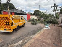 Paraguay: Ein Unwetter mit unvorstellbarer Kraft zerstörte weite Teile des Landes