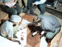 250 Jahre altes Rätsel gelöst? Wertvoller Münzfund unter den Dielen der Kirche von Yaguarón