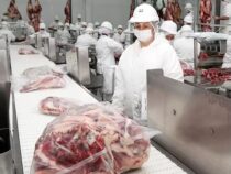 Paraguay könnte seine Fleischexporte 2027 trotz des Rückgangs des Welthandels steigern