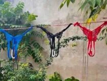 Kontroverse in Capiatá: Kollektive Privatsphäre oder Seelenfrieden?